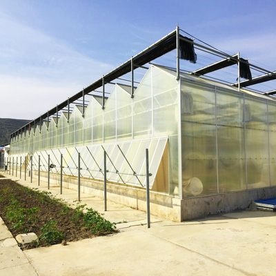Czarny Przedszkola Agro Shade Net Heat Protection