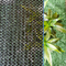 Green Anti Uv HDPE Sun Shade Net na balkonie Home Garden Plants