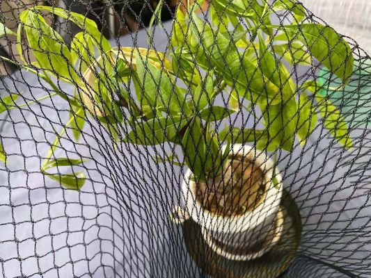 Pool Anti Heron Koi Fish Pond Net Cover Cover 15ft X 20ft Hdpe