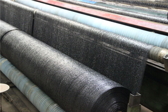 Biała zielona dzianina w odcieniu 50 30 40 80 procent na podwórku