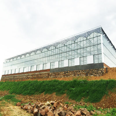 95 Wiatrówka Zielona siatka przeciwsłoneczna Agro Klosz z tkaniny HDPE