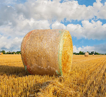 8.33GSM Bale Net Wrap Plastic Anti UV z linią ostrzegawczą